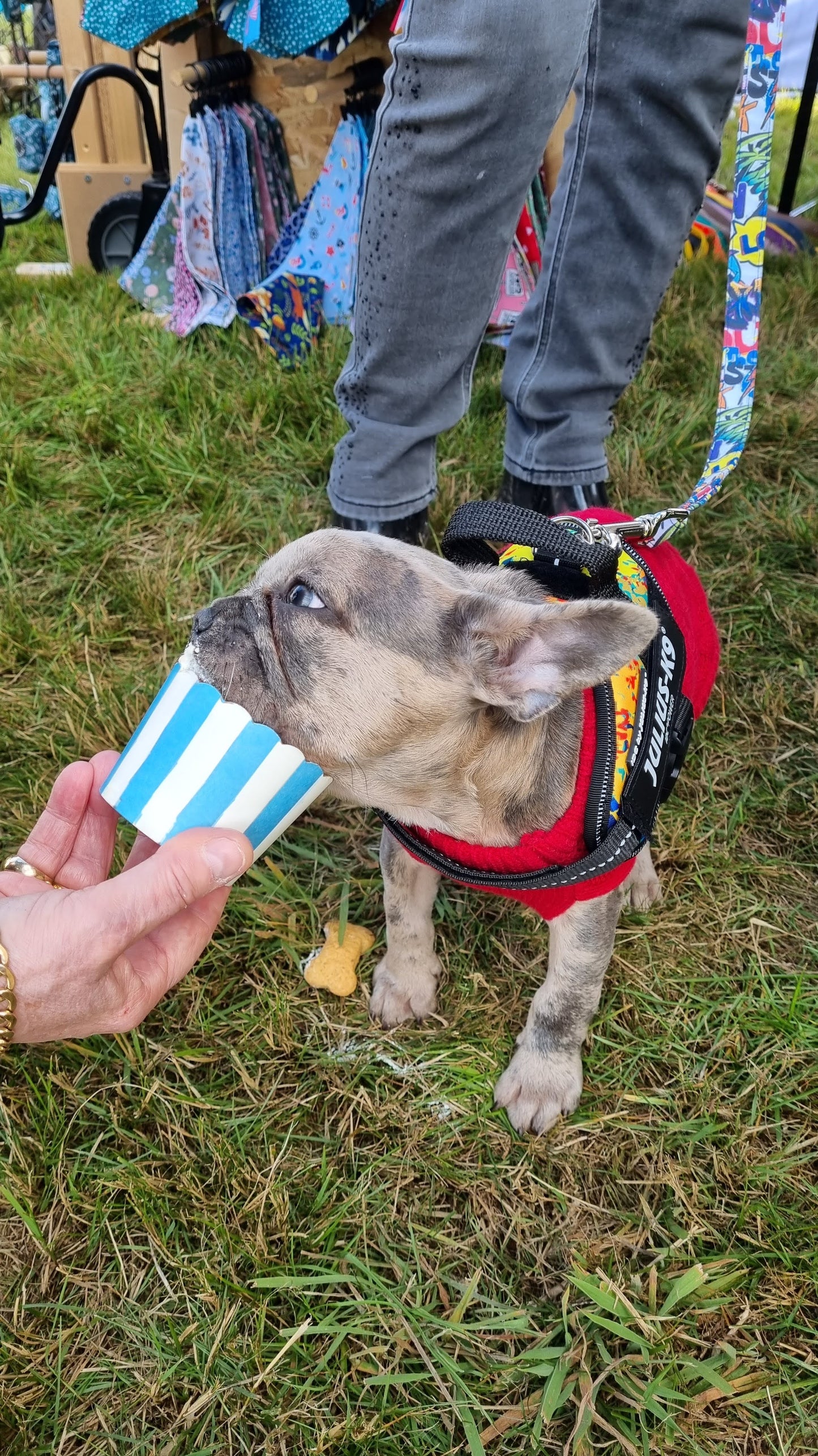Puppuccino
