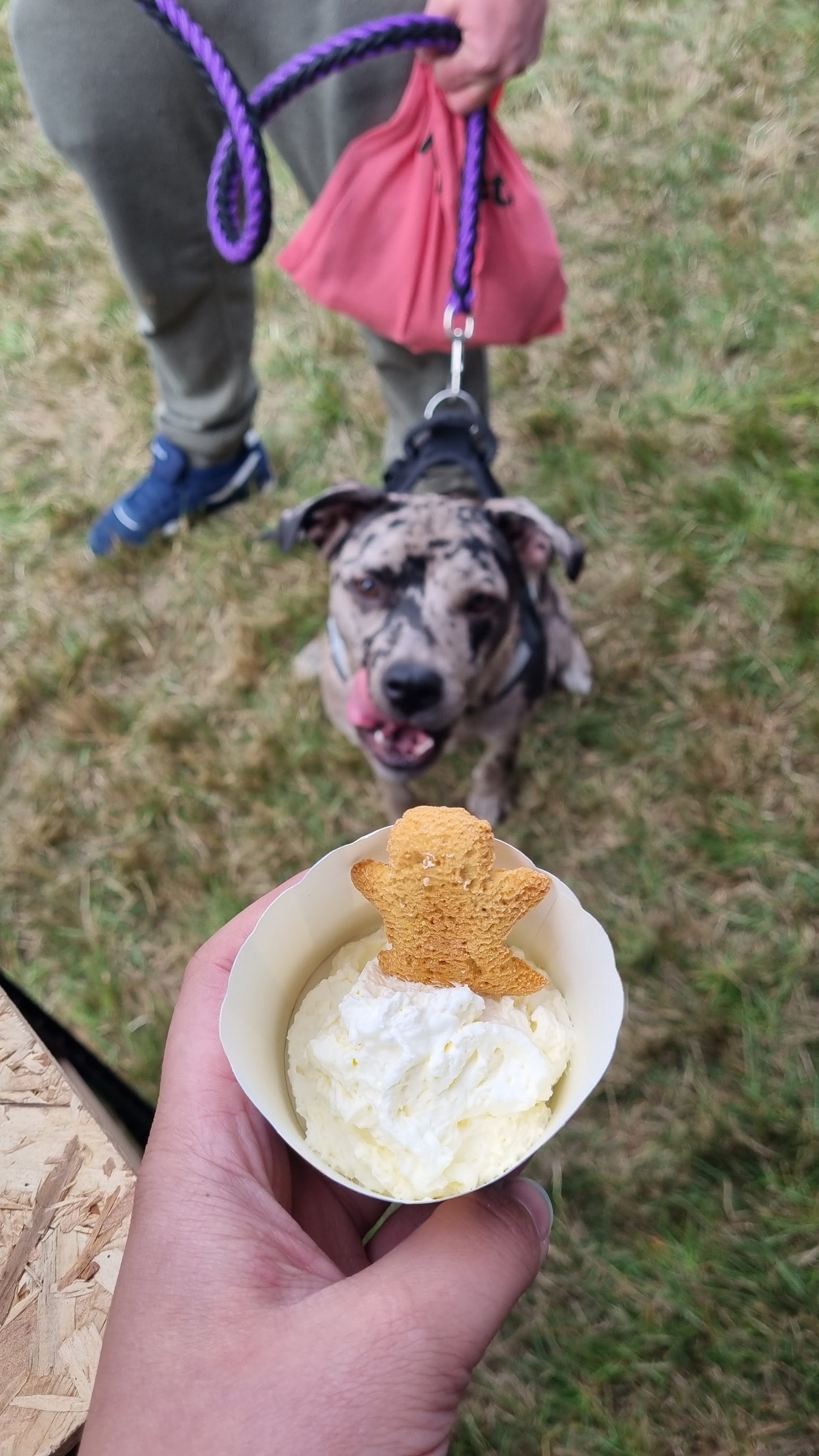 Puppuccino