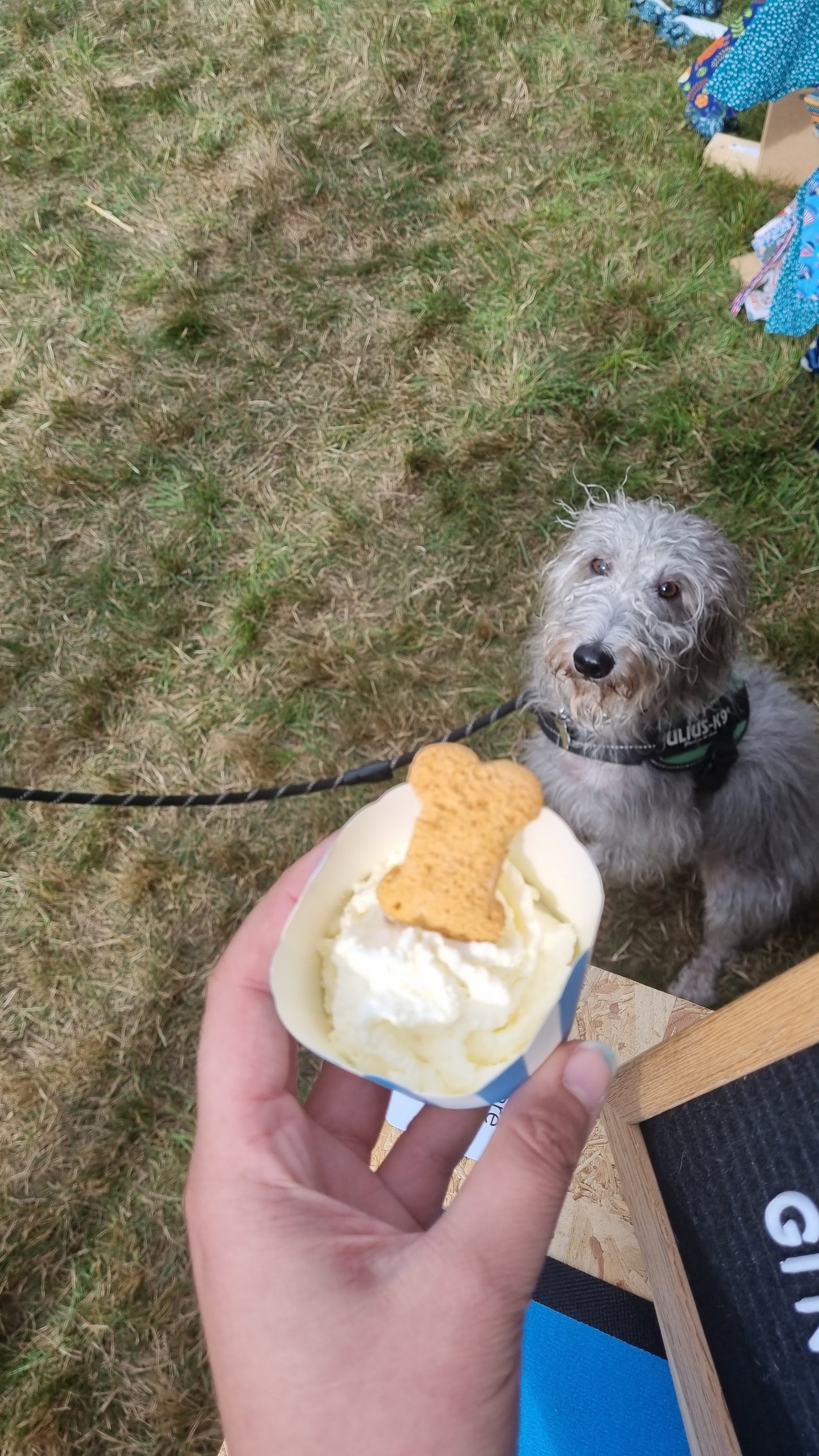 Puppuccino