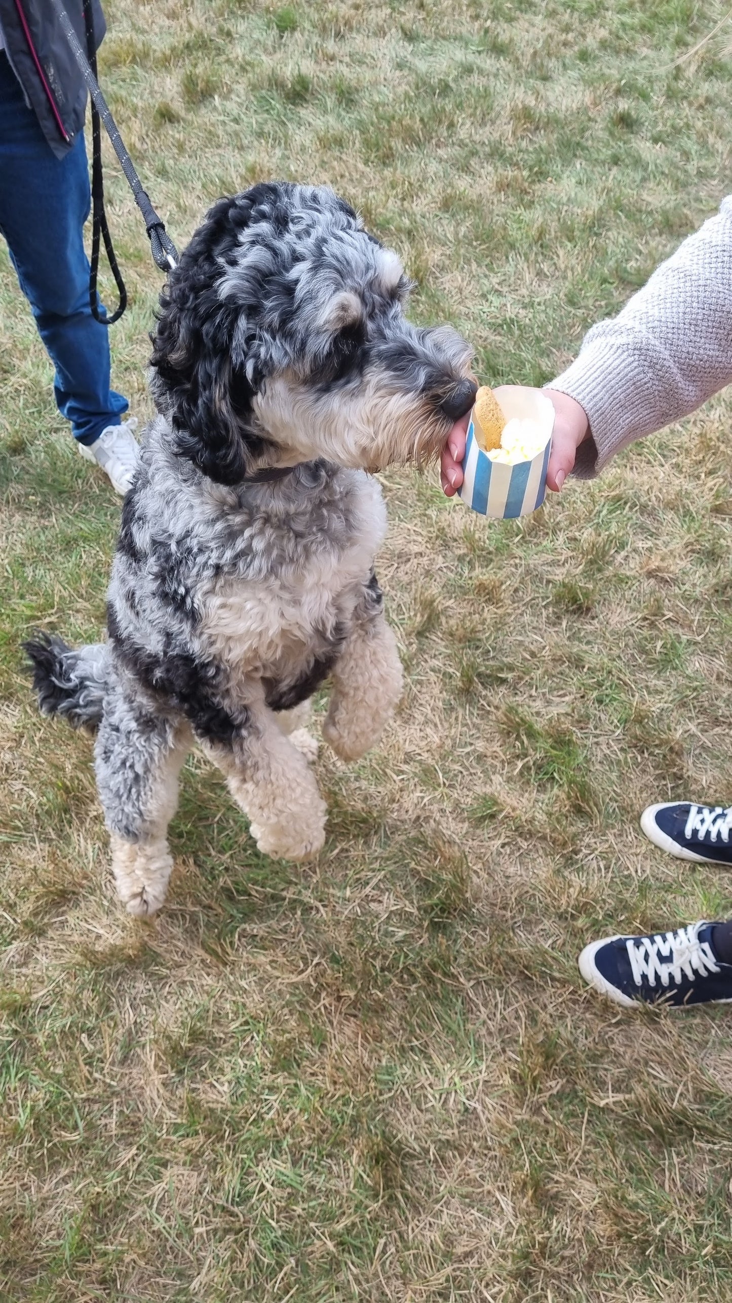 Puppuccino