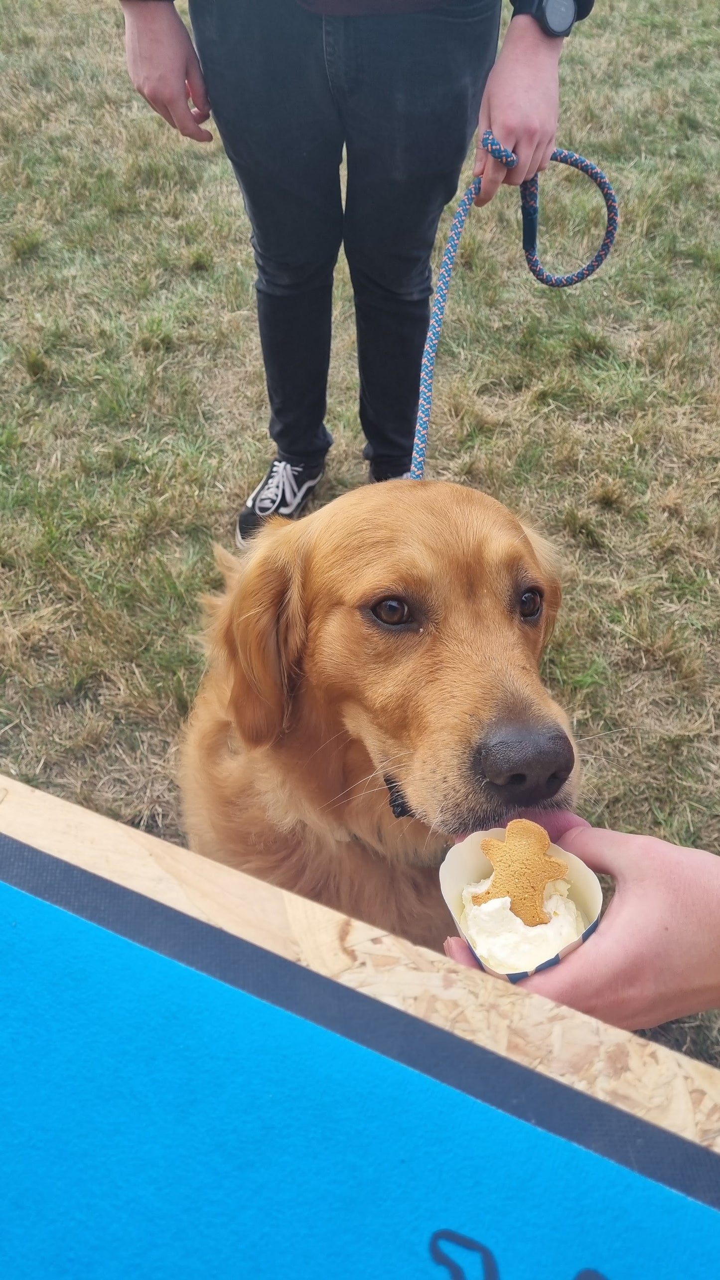 Puppuccino