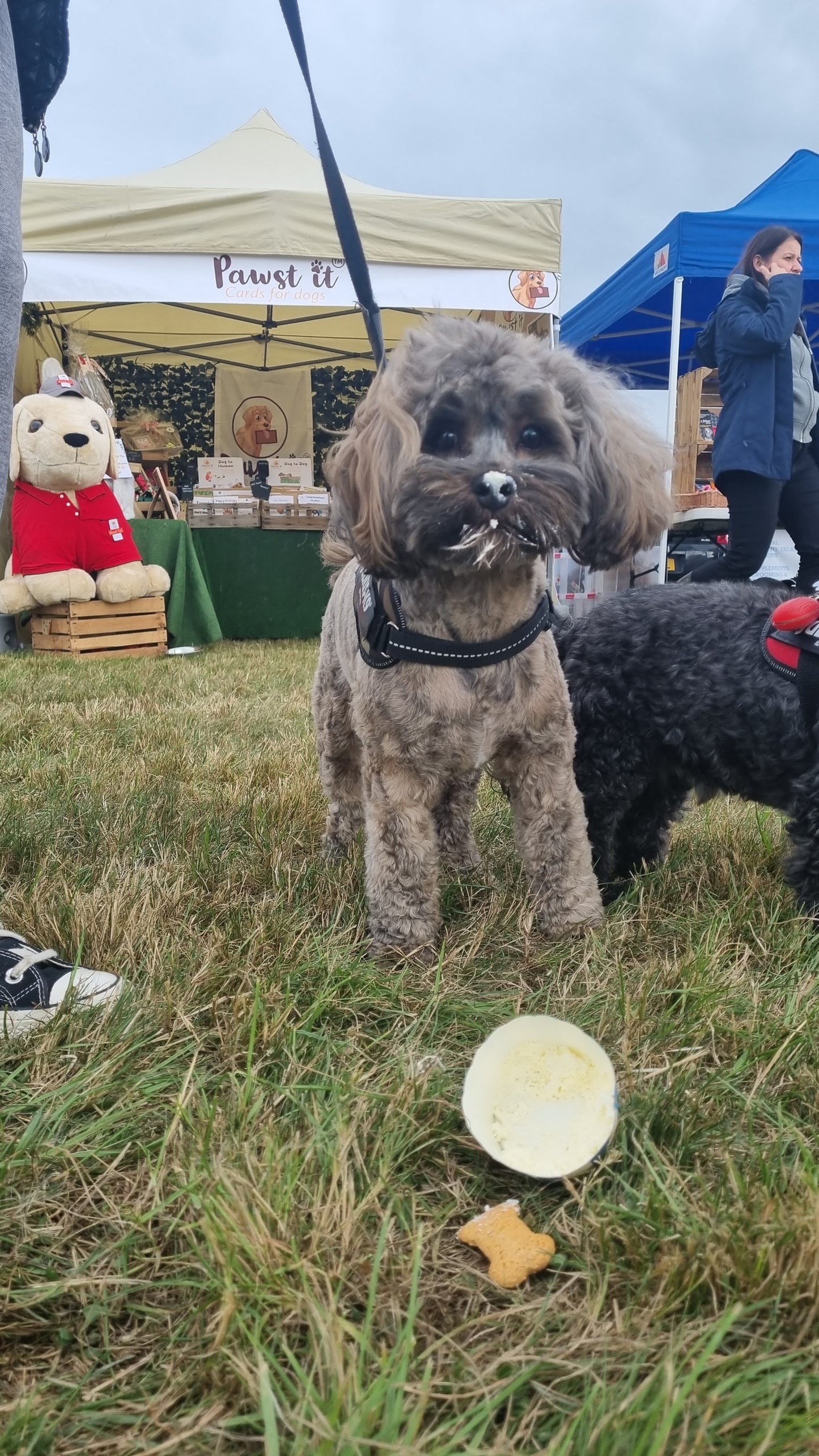 Puppuccino